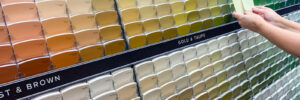 Customer Views Paint Swatches In Paint Store at Colourful Sample Rack.