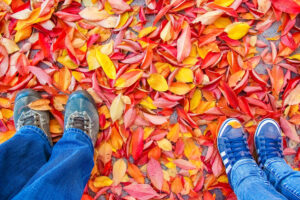 feet on the background of leaves in autumn on a background of the summer